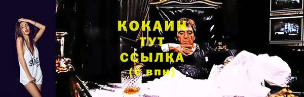 мяу мяу мука Коряжма