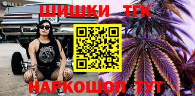 бошки Камышлов