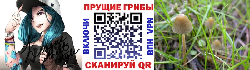 Псилоцибиновые грибы MAGIC MUSHROOMS  Лесозаводск 