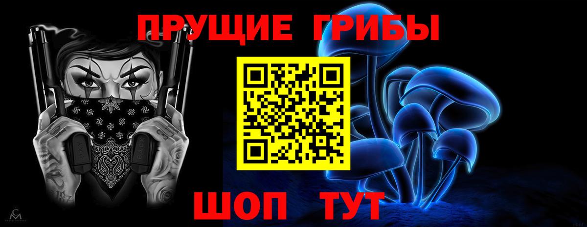 Псилоцибиновые грибы Cubensis  Вход с VPN  Лесозаводск 